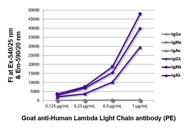 FLISA: The plate was coated with purified Human IgGkappa, IgMkappa, IgAkappa, IgGlambda, IgMlambda and IgAlambda. Immunoglobulins were detected with serially diluted ARG24068 Goat anti-Human Lambda Light Chain antibody (PE) (pre-adsorbed).