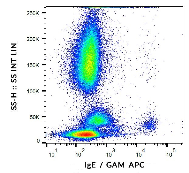 Flow Cytometry: Human peripheral blood cells stained with ARG63034 anti-IgE antibody [4H10], followed by incubation with APC labelled Goat anti-Mouse secondary antibody.