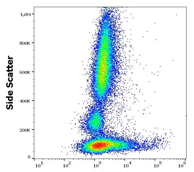 Flow Cytometry: Human peripheral whole blood stained with ARG53951 anti-IgM antibody [CH2] (APC) at 0.6 microg/ml dilution.