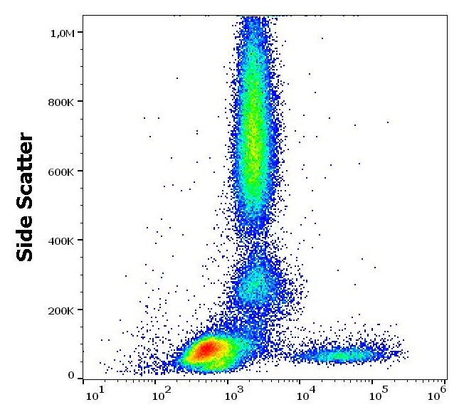 Flow Cytometry: Human peripheral whole blood stained with ARG63039 anti-IgM antibody [CH2] (FITC) at 1 microg/ml dilution.