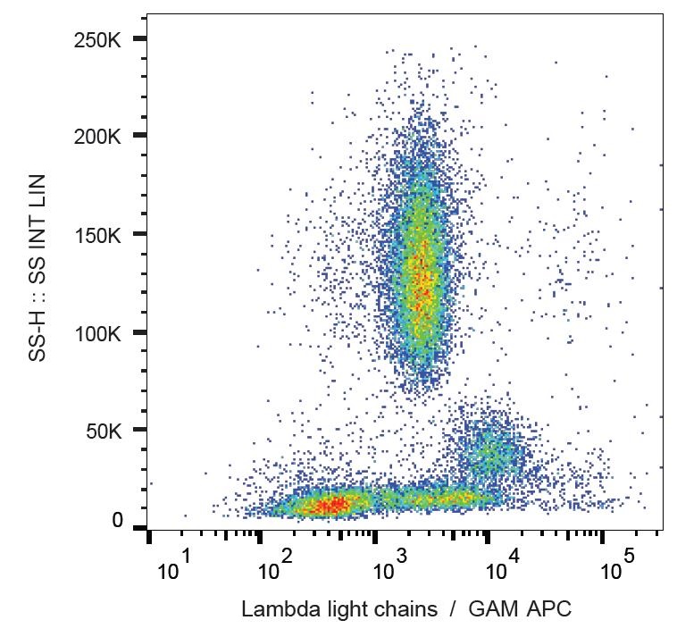 Flow Cytometry: Human peripheral blood stained with ARG63053 Mouse anti-Human Lambda Light Chain antibody [4C2], followed by incubation with APC-labelled Goat anti-Mouse secondary antibody.