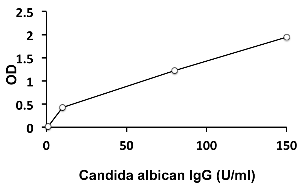 Human Candida albicans IgG antibody ELISA Kit (ARG80525) arigo