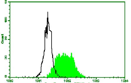 Flow Cytometry: HeLa cells stained with anti-beta 2 Microglobulin antibody [D2E9] (ARG10206) followed by incubation with fluorescence labelled secondary antibody.