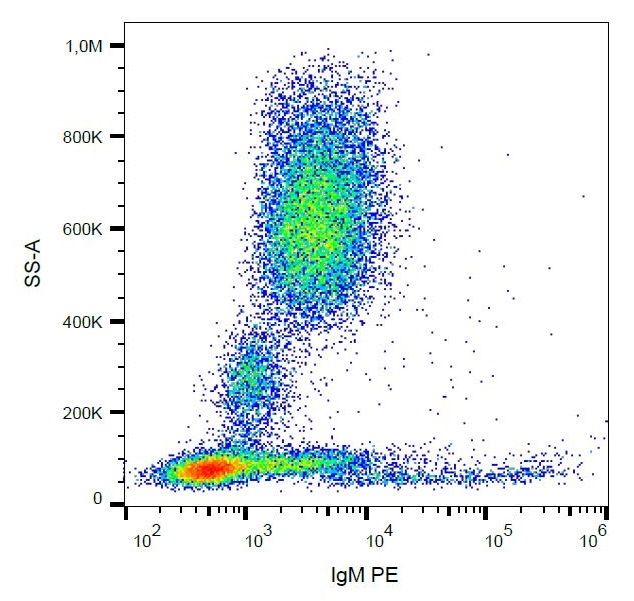 Flow Cytometry: Human peripheral blood cells stained with ARG54236 anti-IgM antibody [CH2] (PE).